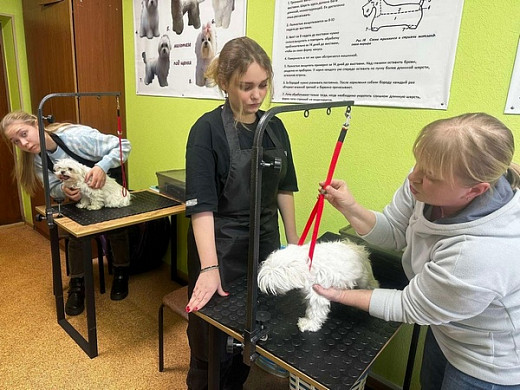  Ивановский юридический колледж выпускает грумеров 