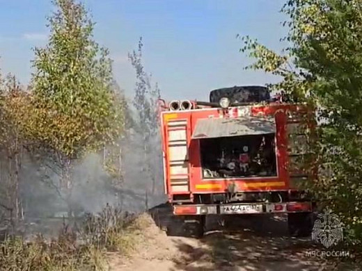 В Ивановской области обнаружен очаг лесного пожара
