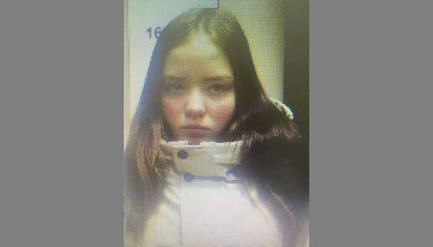 В Ивановской области почти неделю не могут найти 16-летнюю девочку