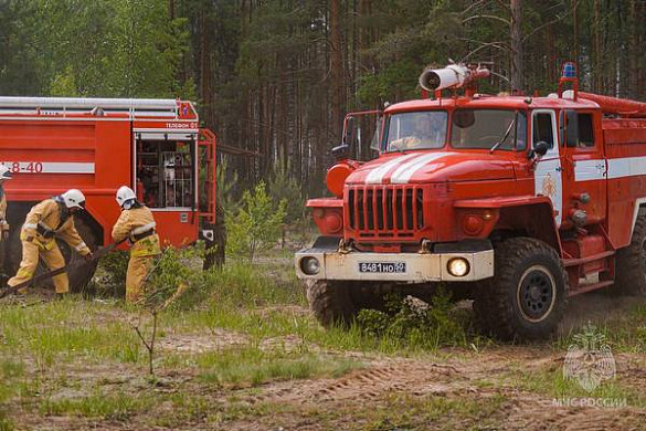  В Южском районе отрабатывали действия при лесном пожаре 