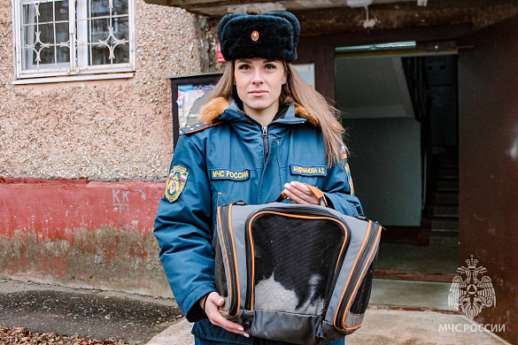 В Иванове сотрудница МЧС спасла домашних питомцев, потерявших хозяина