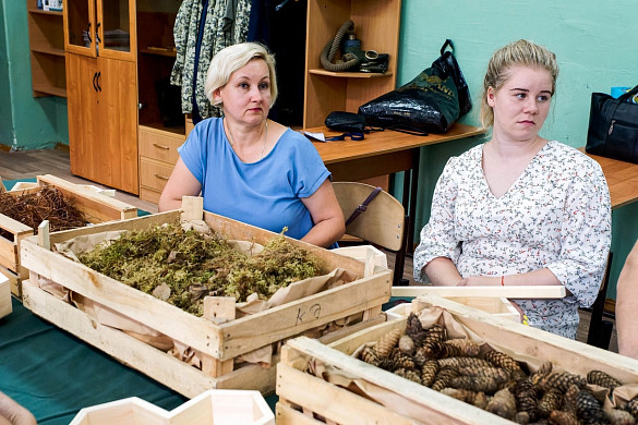 В Иванове строят гостиницы для насекомых