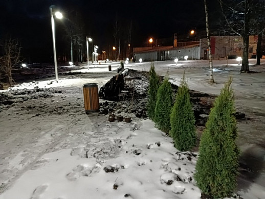  В Вичуге на Привокзальной площади сажают растения в мерзлую землю 