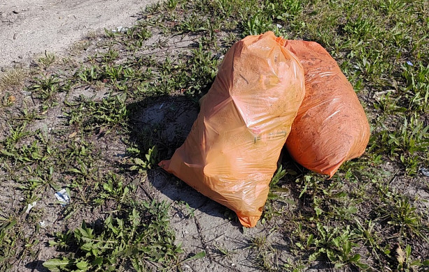 В Иванове мусорный оператор поднял цены на услуги
