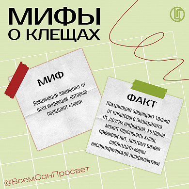 Укусы клещей в Ивановской области сходят на нет
