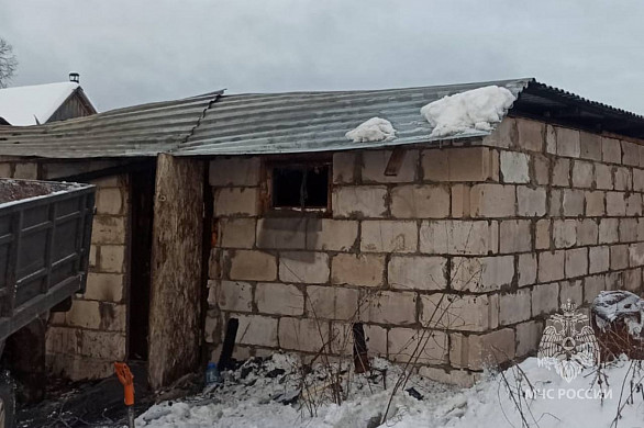 В Южском районе из-за короткого замыкания погибли 8 свиней и 8 поросят