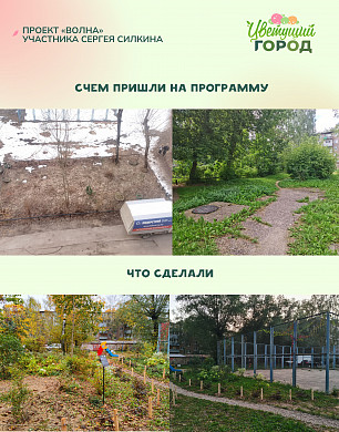 «Цветущий город» предлагает помощь энтузиастам в озеленении Иванова