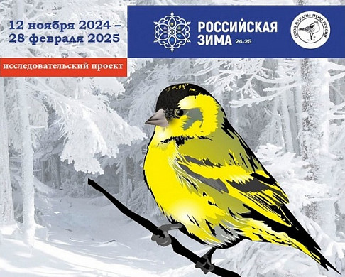 В Ивановской области будут наблюдать зимующих птиц