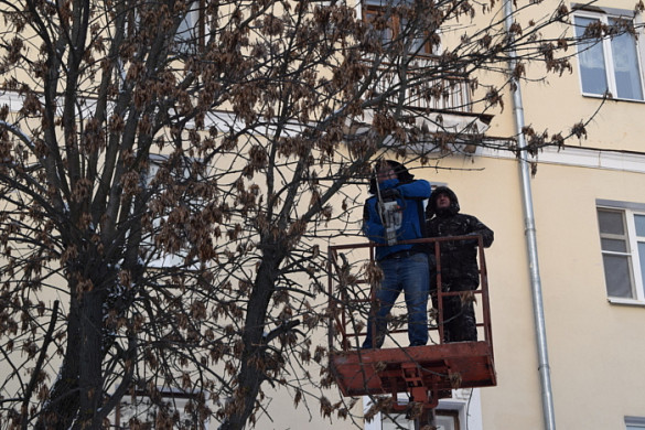 В Иванове начали обрезать деревья