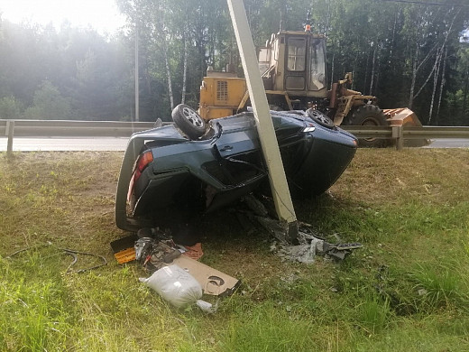 Женщина и собака погибли в жутком ДТП в Ивановской области