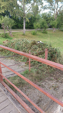 В Старой Вичуге двое парней собственными силами расчистили плотину