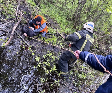 12-летний кинешемец увяз по пояс в трясине у жд насыпи