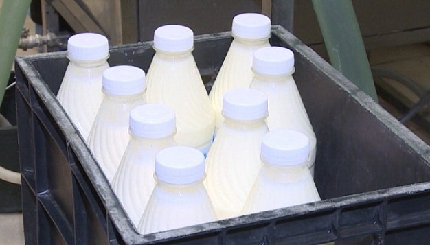 Молокозаводы Ивановской области получали продукцию с фантомных площадок
