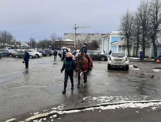 В Иванове лошадники эксплуатируют труд детей