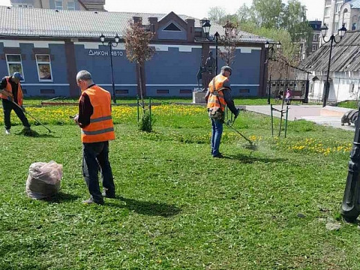 В Иванове выкосят почти 2,5 миллиона кв. м. травы за 15 млн рублей