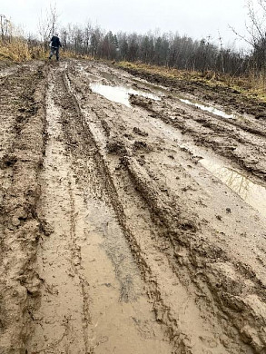 Жители Шуйского района не могут попасть на кладбище