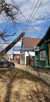 В Кохме засохшее дерево накренилось на 45 градусов и готово упасть на жителей
