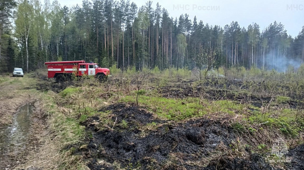 В Лухском районе ликвидировали лесной пожар