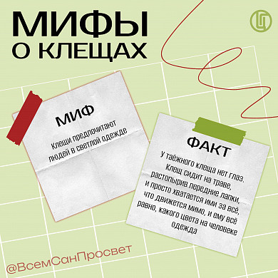 Укусы клещей в Ивановской области сходят на нет