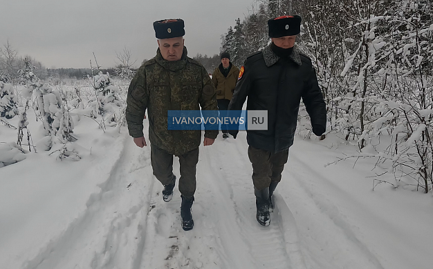 В Ивановской области казаки открыли охоту на похитителей ёлок