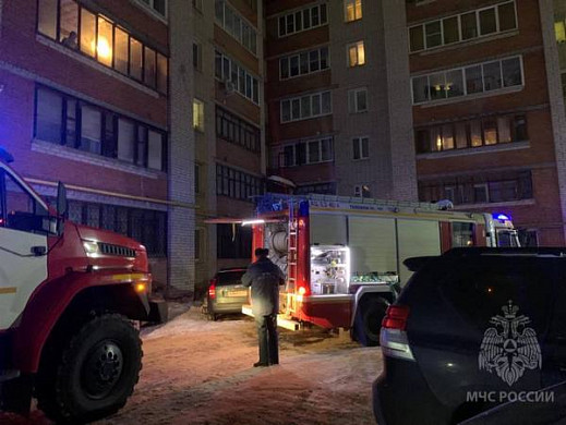 В Иванове из горящей квартиры спасли женщину и ее кота