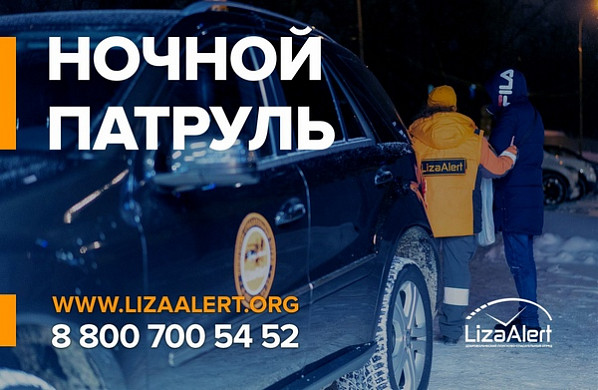  Ночной патруль «ЛизаАлерт» спас в Кинешме двух бабушек 