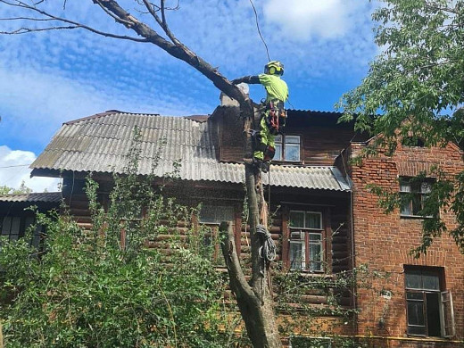  В Иванове убрали все поврежденные ураганом деревья 