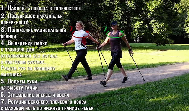 В Иванове подготовят общественных инструкторов по северной ходьбе