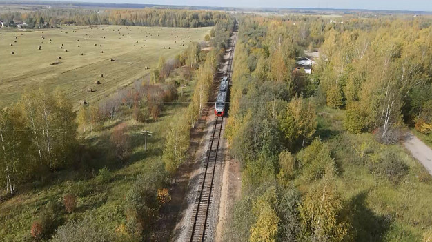 Волгореченские «Орланы» за год перевезли более 80 тысяч пассажиров