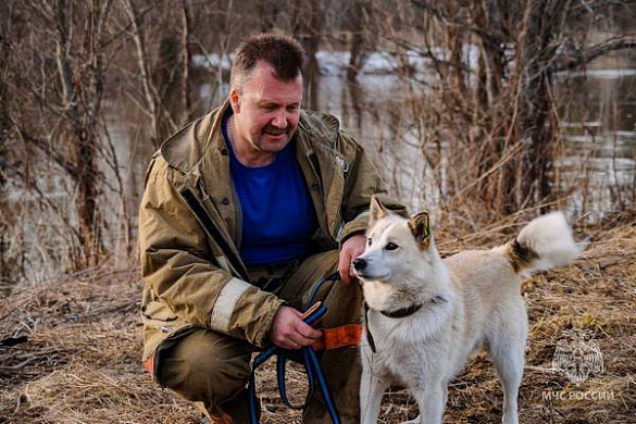 В Ивановской области пожарные спасли собаку, застрявшую на острове