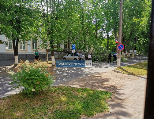Еще одно упавшее дерево повредило сразу три машины