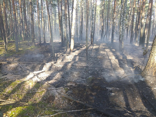 Два лесных пожара произошли в Ивановской области в воскресенье