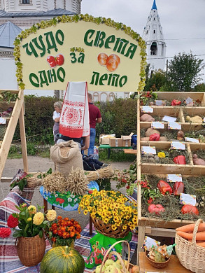 Нынешний фестиваль «Лук-лучок» будет грандиозным