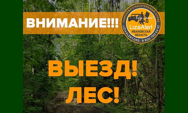 В ночном лесу нашли пропавшего грибника из Кинешемского района
