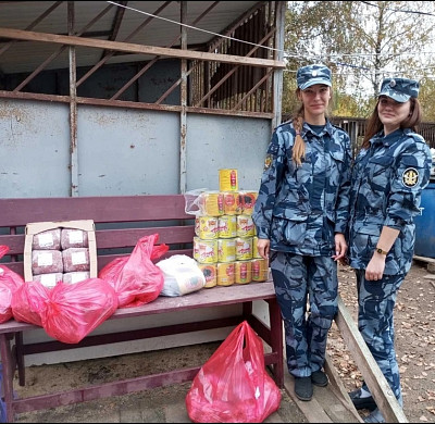 Ивановские сотрудники УФСИН помогли приюту для животных