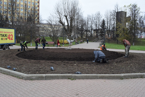 В Иванове осенью высадят более 80 тысяч голландских тюльпанов