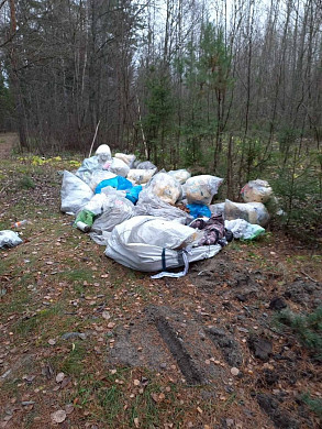 В Ивановском районе в лесу обнаружили два десятка огромных пластиковых мешков 