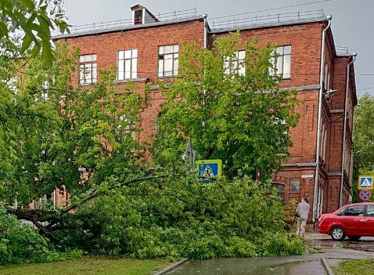  В Иванове ветер повалил более 50 деревьев и оставил без света более 6 тысяч человек 