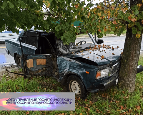  В Юже девушка без водительских прав врезалась в столб и в дерево 
