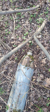 В Ивановской области в лесочке нашли еще один артиллерийский снаряд