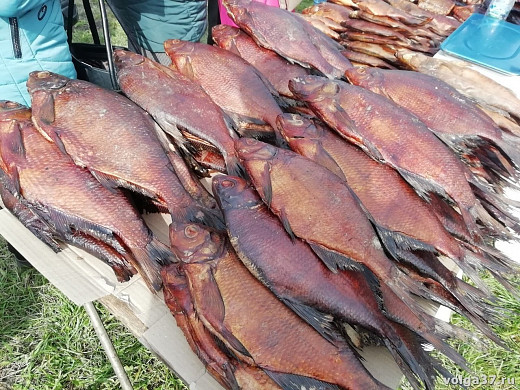 В Юрьевце приготовят самую вкусную уху и создадут рыбный костюм