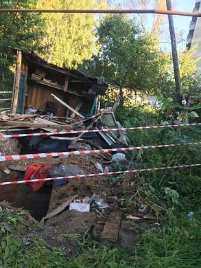 В Иванове спилили деревья ради стоянки