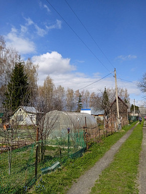 30 садовых домов в Богородском никак не подключат к электросети 