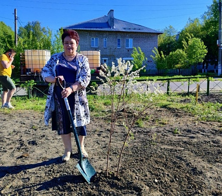 Предприниматели Комсомольска заложили новую аллею в городе 