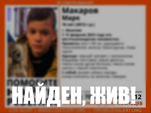  Пропавшего в Иванове мальчика с собакой нашли 