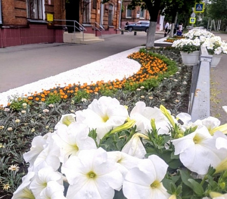  В Иванове на улице Советской снова расцвел «скверик Майорова» 