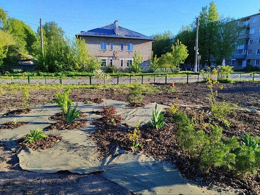 Предприниматели Комсомольска заложили новую аллею в городе 