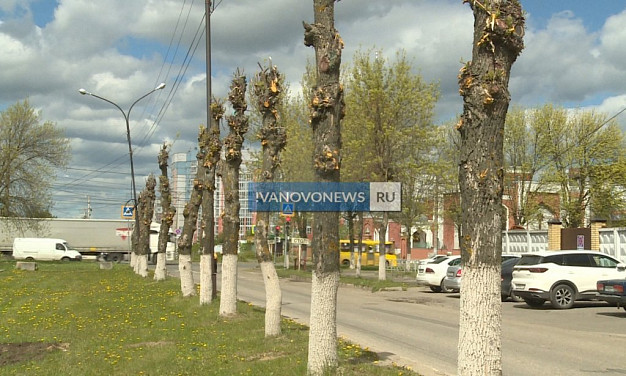 Иваново оказалось внизу рейтинга «зелёных» городов России