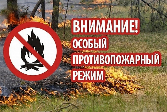 В регионе продлен особый противопожарный режим в лесах