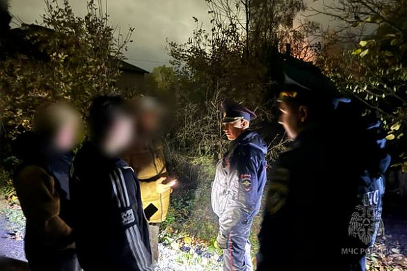 В Родниках нашли предполагаемых поджигателей заброшенных домов